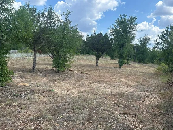 a view of a dry yard with trees