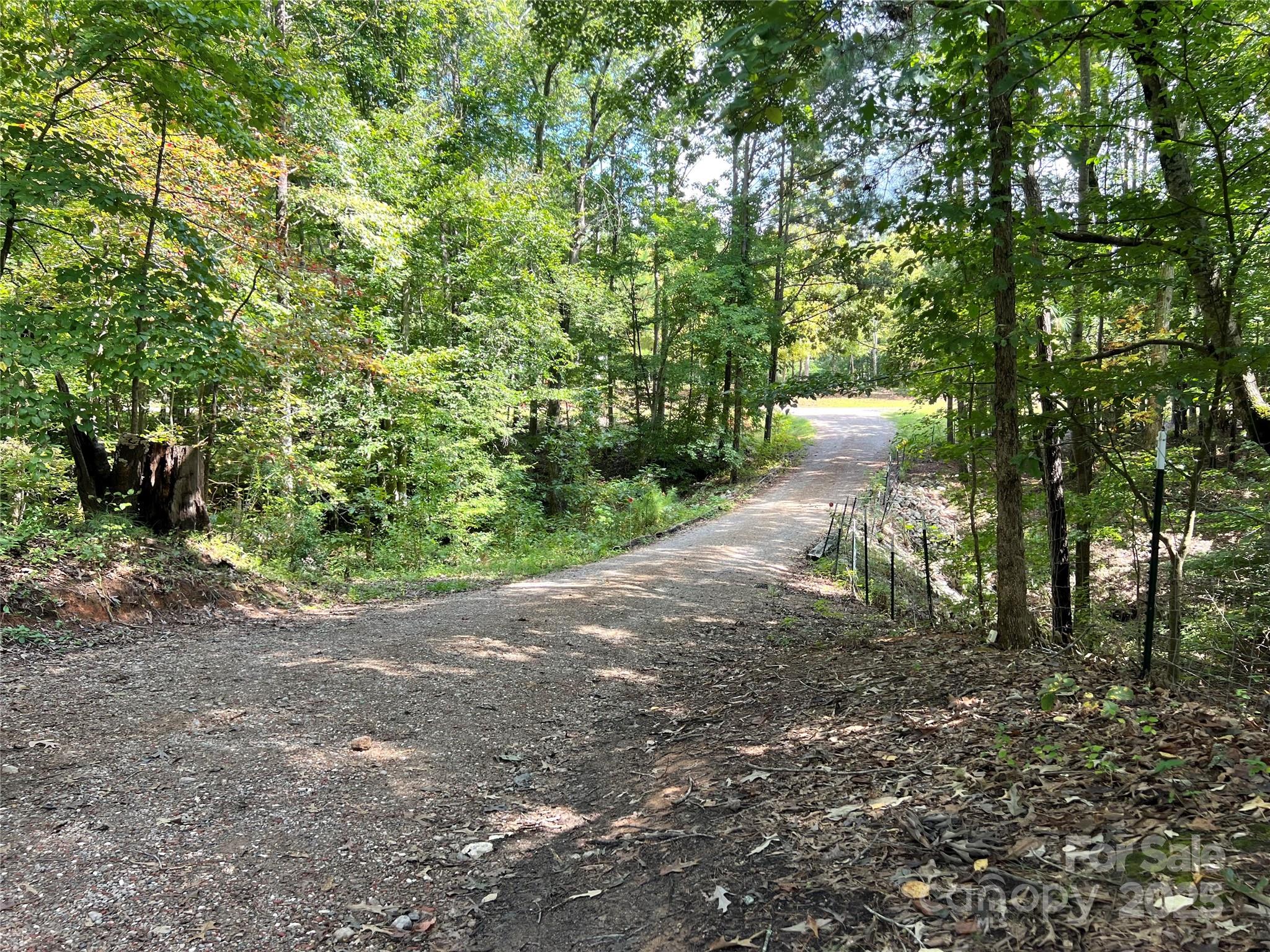 1258 Willis Road Chester, SC 29706 - Photo 13 of 32 a view of a pathway with a tree