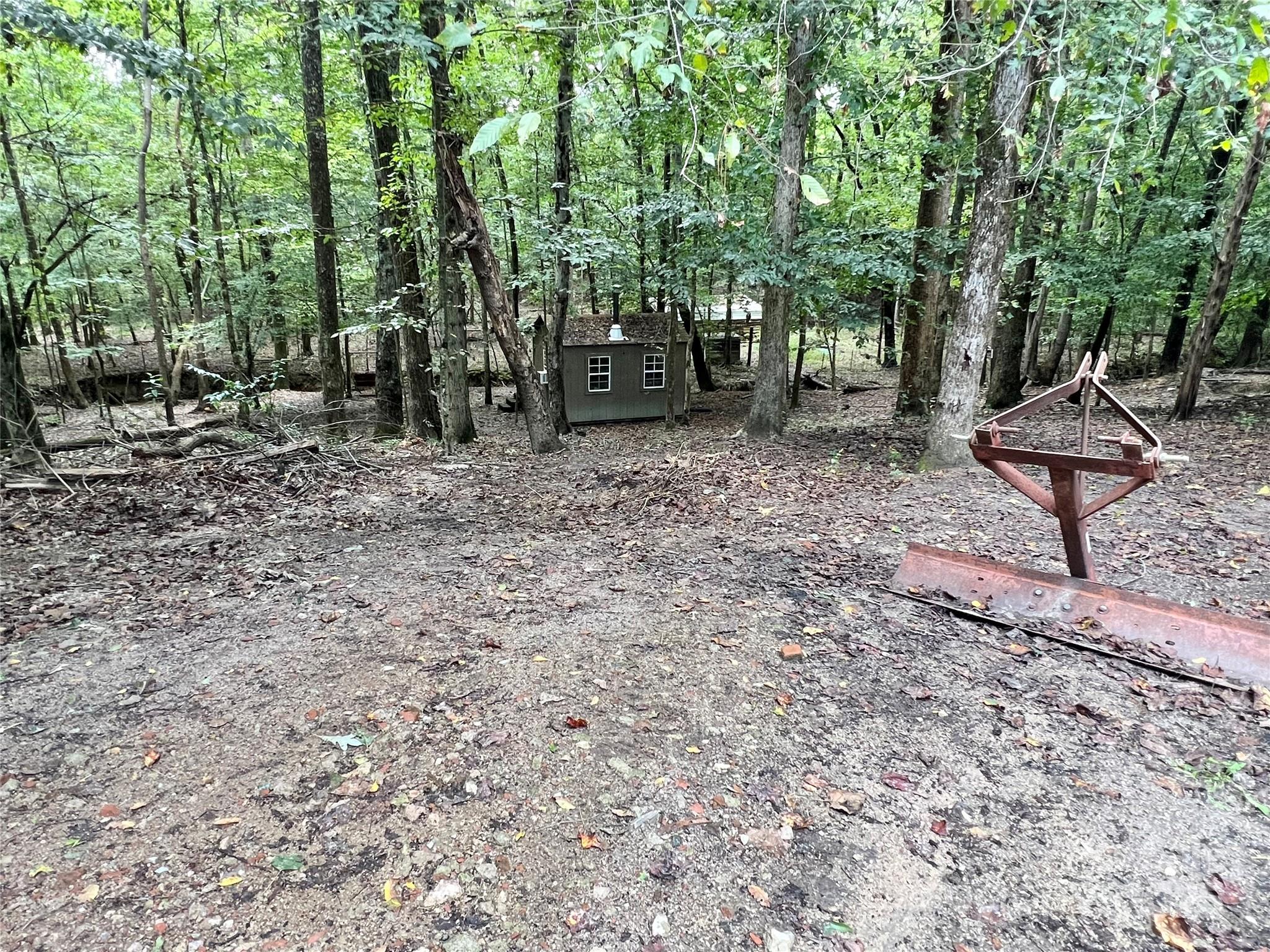 1258 Willis Road Chester, SC 29706 - Photo 21 of 32 a backyard of a house with lots of green space
