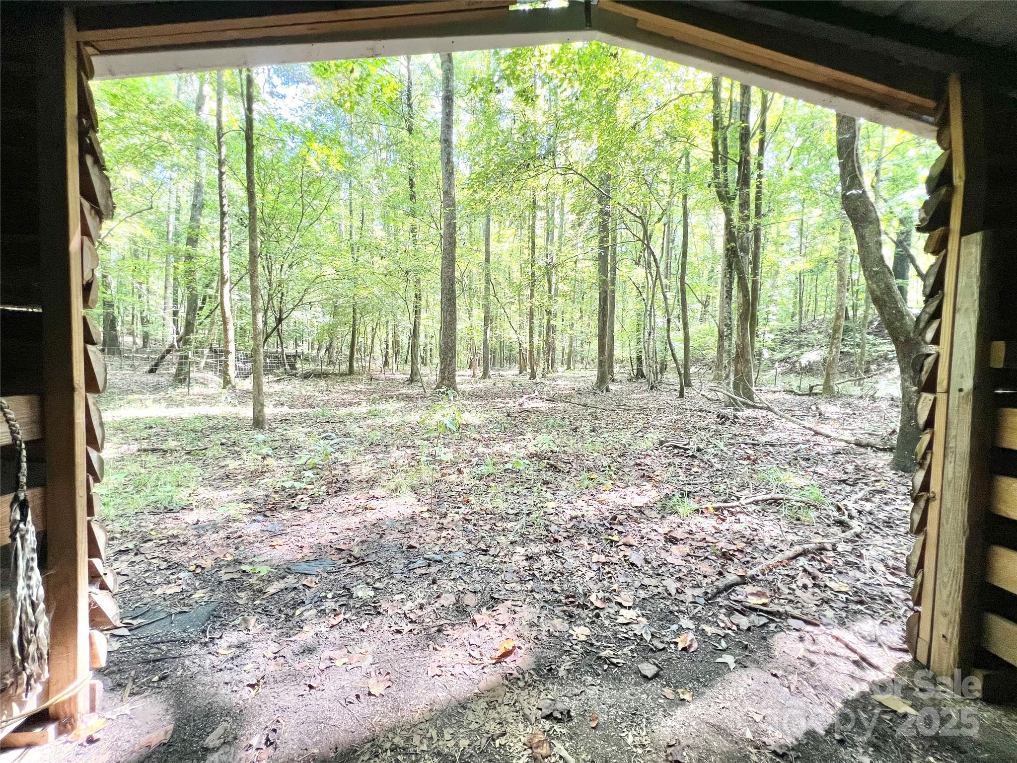 1258 Willis Road Chester, SC 29706 - Photo 26 of 32 a view of a yard with large trees