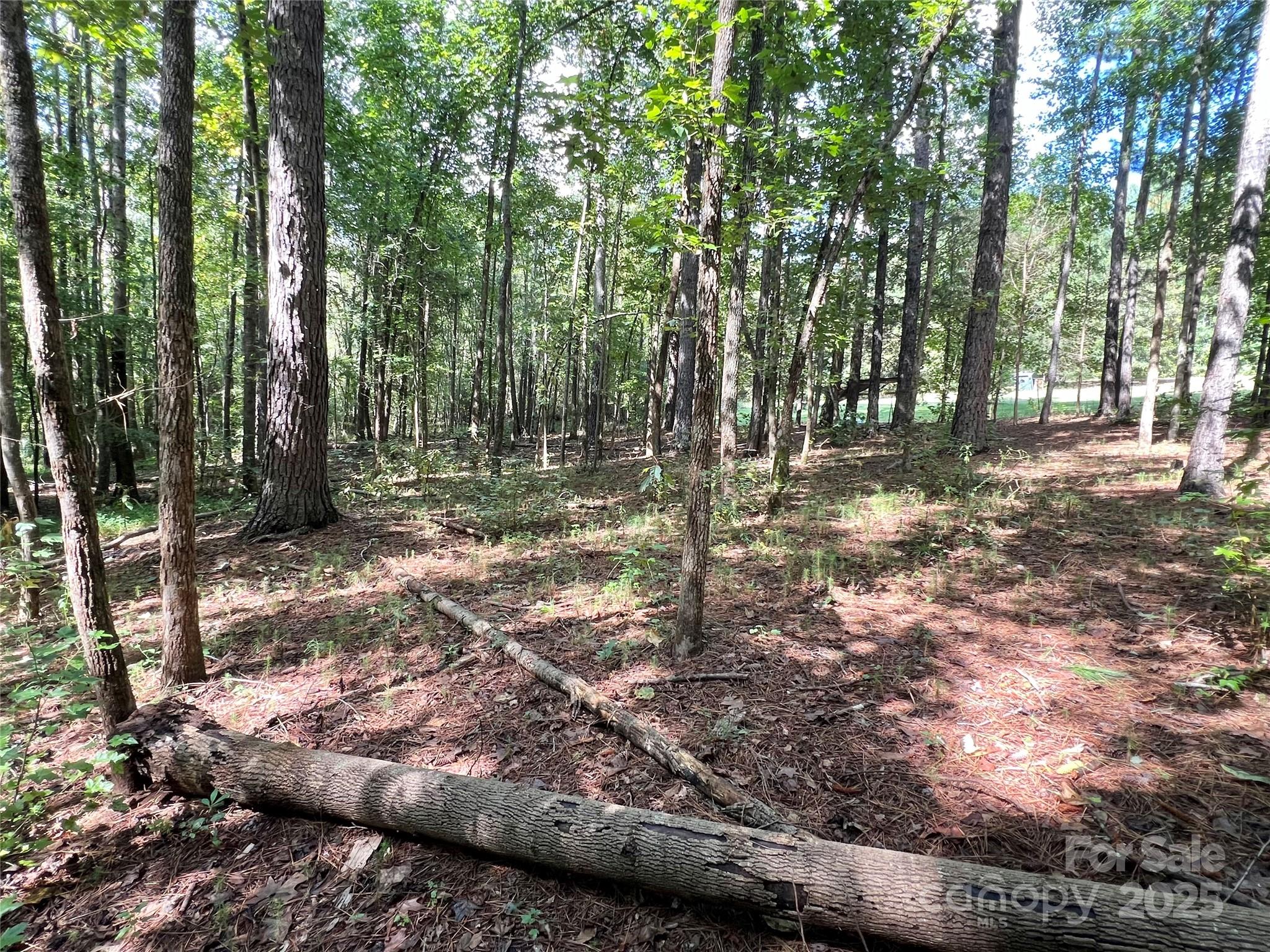 1258 Willis Road Chester, SC 29706 - Photo 28 of 32 a backyard of a house with lots of green space