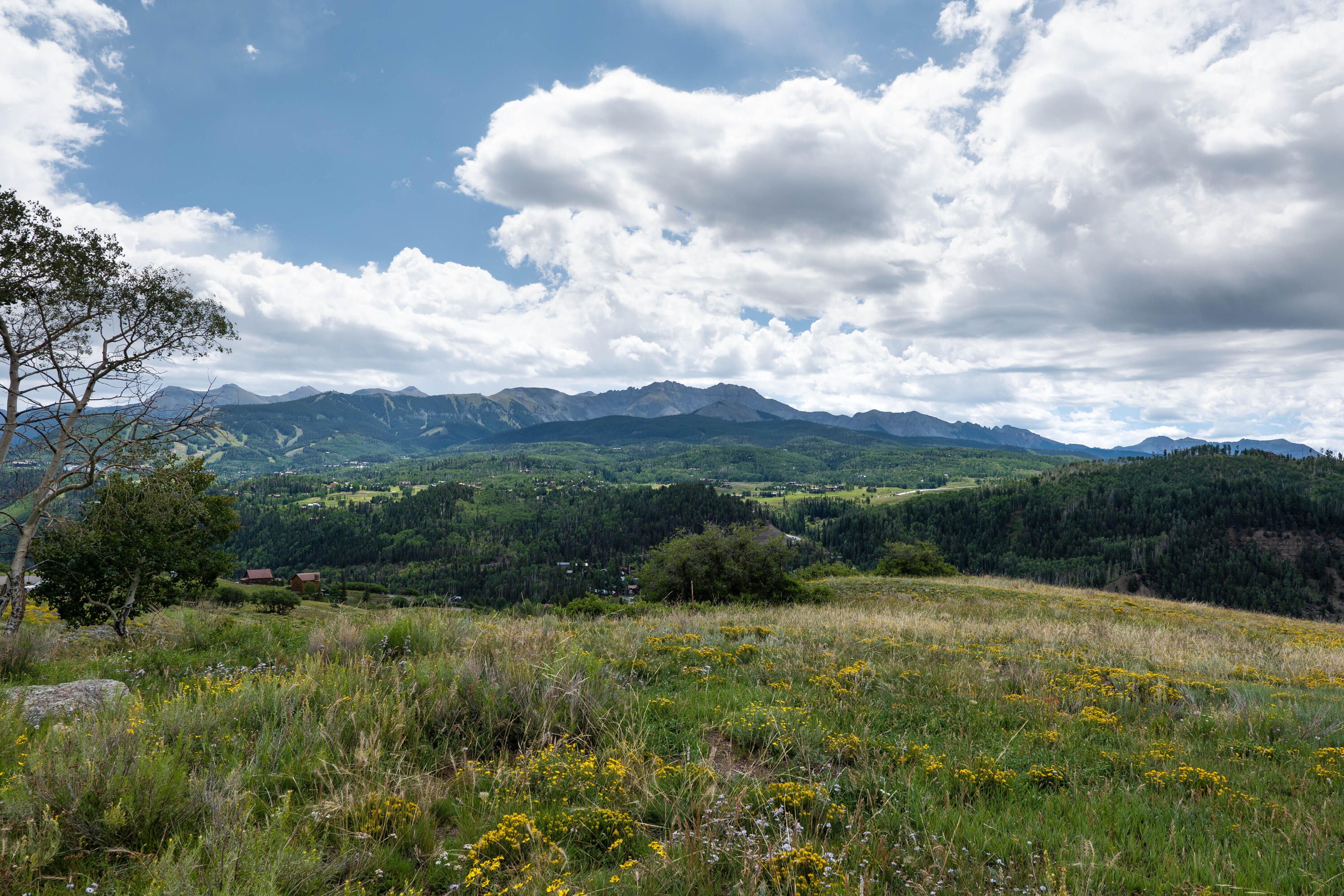 Tbd Old Toll Road Telluride, CO 81435 - Photo 9 of 11 P1264132