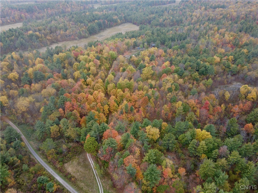 Lead Mine Road Redwood, NY 13679 - Photo 11 of 15