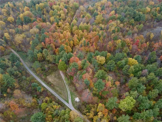 $229,000 | Lead Mine Road, Redwood, NY 13679