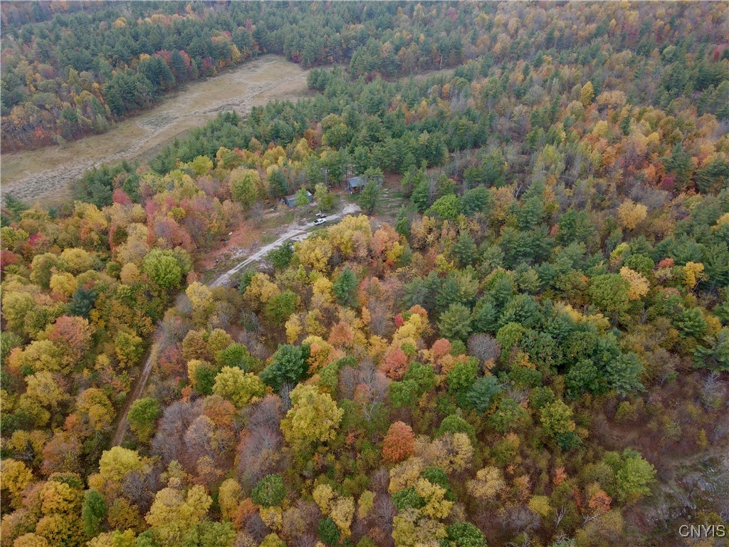 Lead Mine Road Redwood, NY 13679 - Photo 13 of 15