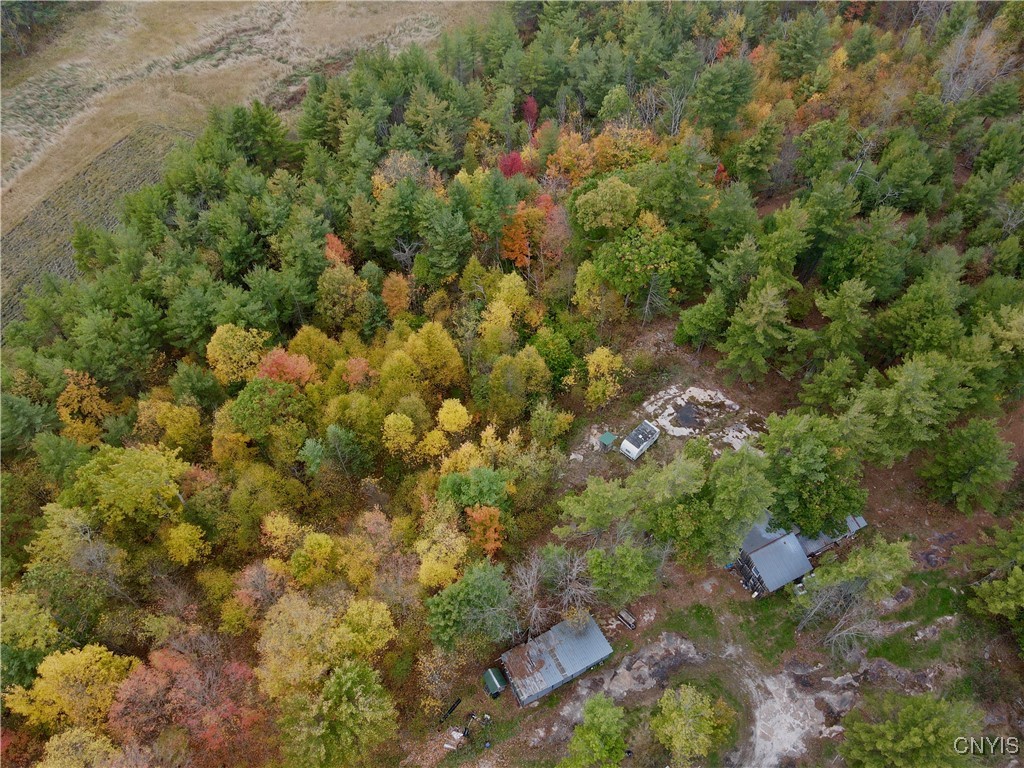 Lead Mine Road Redwood, NY 13679 - Photo 15 of 15