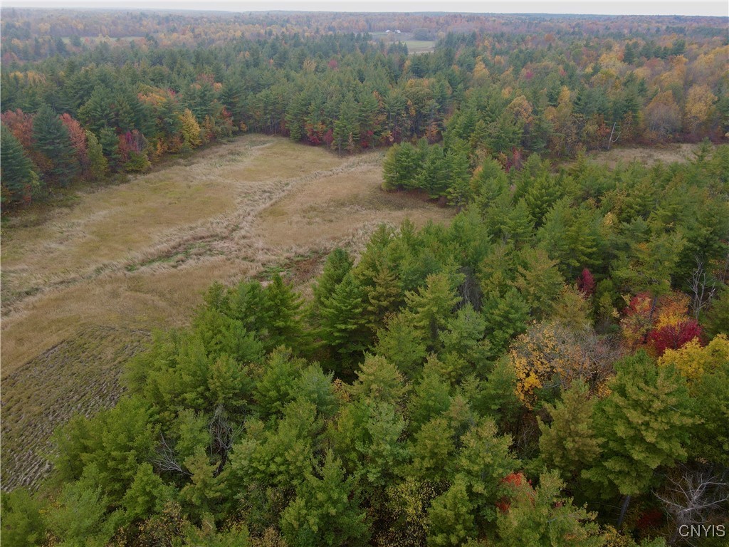 Lead Mine Road Redwood, NY 13679 - Photo 4 of 15