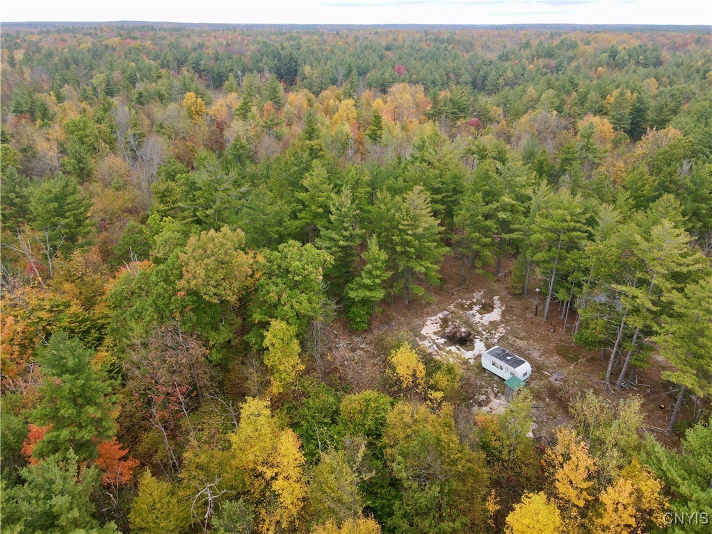 Lead Mine Road Redwood, NY 13679 - Photo 5 of 15