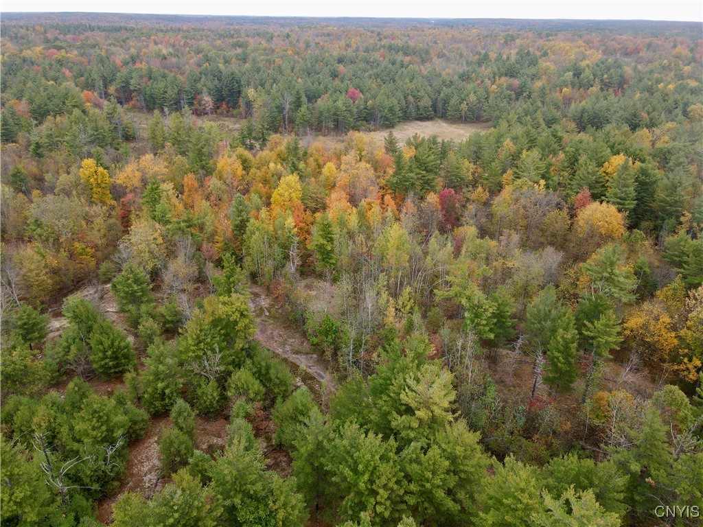 Lead Mine Road Redwood, NY 13679 - Photo 6 of 15