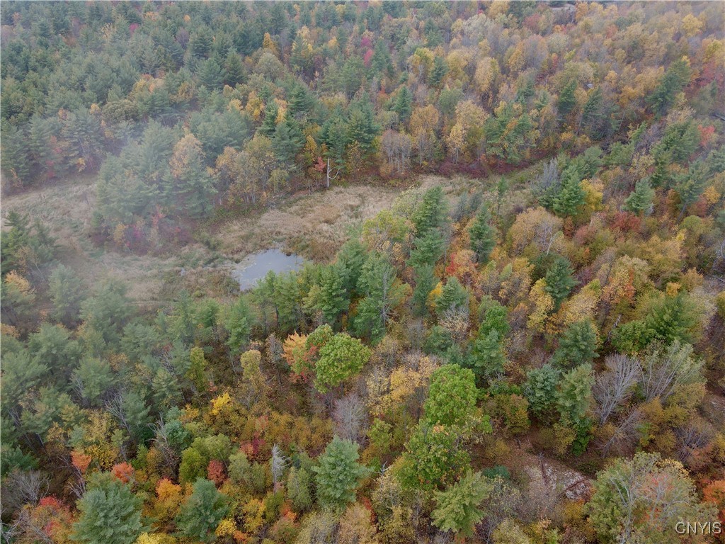 Lead Mine Road Redwood, NY 13679 - Photo 7 of 15