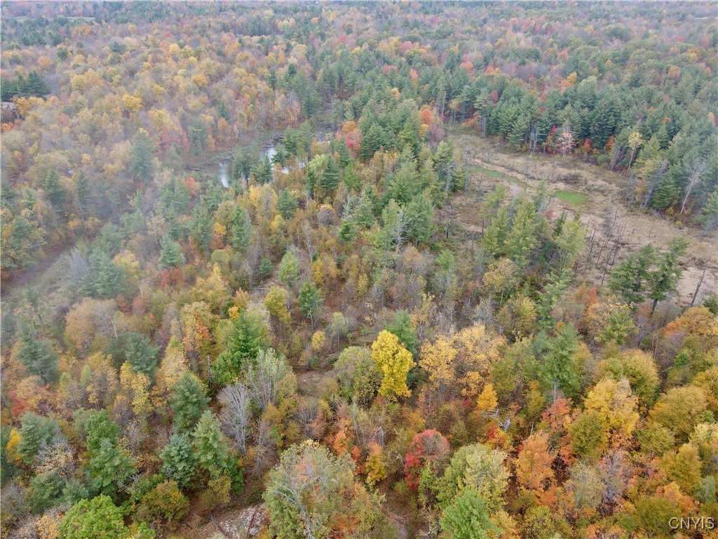 Lead Mine Road Redwood, NY 13679 - Photo 8 of 15