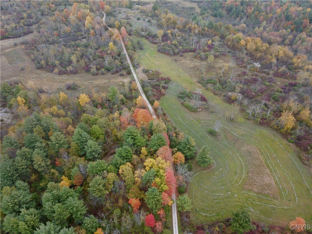 Lead Mine Road Redwood, NY 13679 - Photo 9 of 15