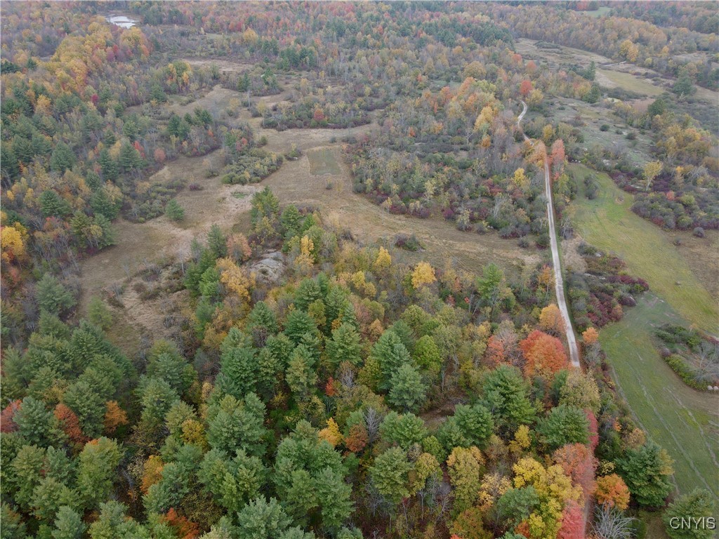 Lead Mine Road Redwood, NY 13679 - Photo 10 of 15