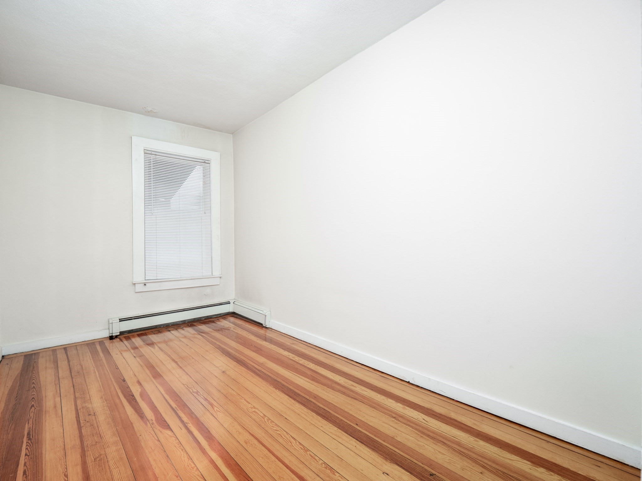 4 Saxton Street Boston, MA 02125 - Photo 4 of 14 Gallery Image 4