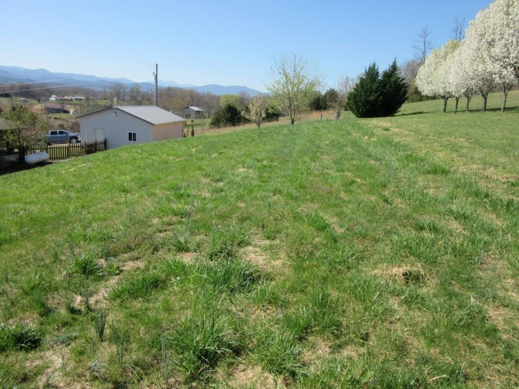 310 Sunnyside Road Greeneville, TN 37743 - Photo 22 of 23 backyard
