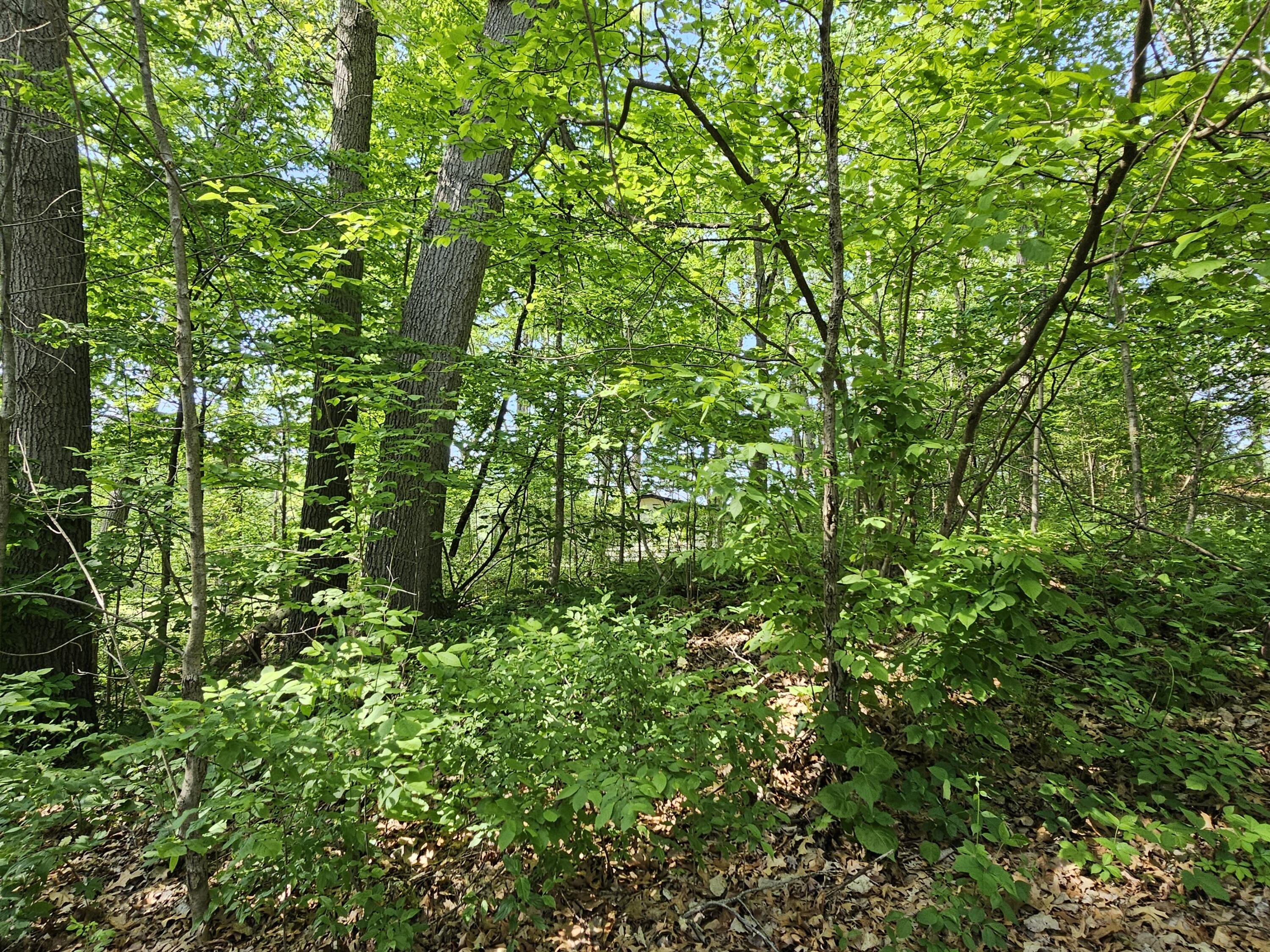 5350 Eze Street Reading, MI 49274 - Photo 29 of 36 1000039217