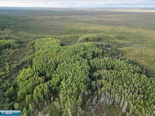 $59,000 | Tbd Tbd Olson Road, Orr, MN 55771