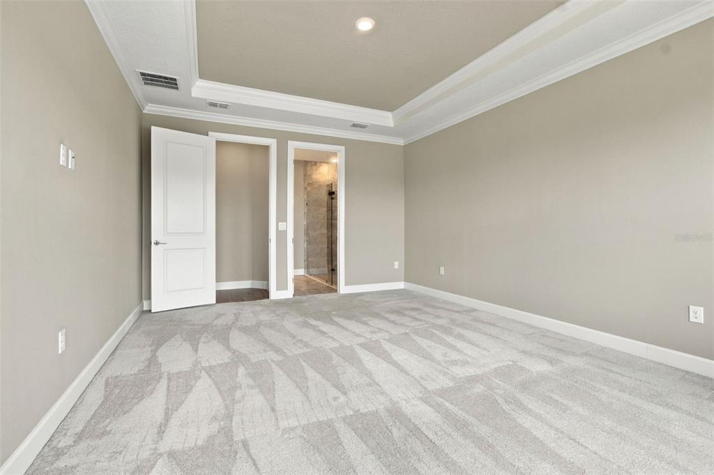 4798 Rosatti Road Wesley Chapel, FL 33543 - Photo 28 of 99 Gallery Image 28