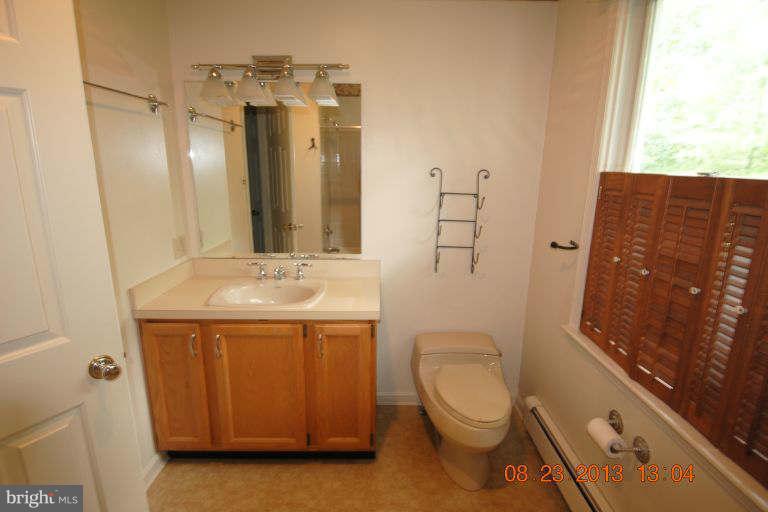 1632 Chestnut Grove Road Winchester, VA 22603 - Photo 17 of 20 Bath (Master)