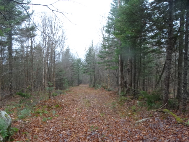 823 Baird Road Newark, VT 05871 - Photo 1 of 17 Gallery Image 1