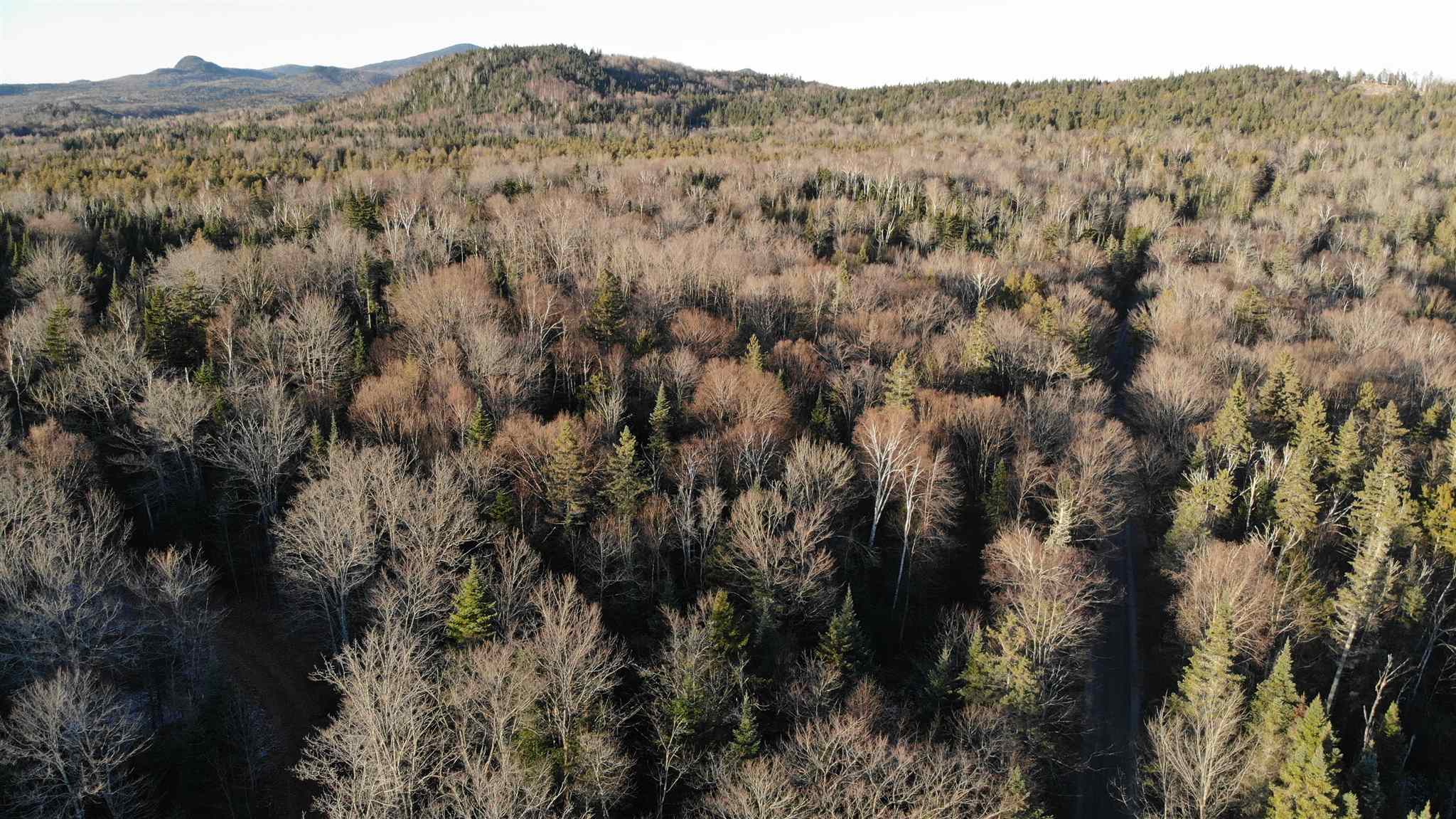 823 Baird Road Newark, VT 05871 - Photo 14 of 17 Gallery Image 14
