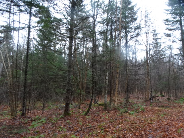 823 Baird Road Newark, VT 05871 - Photo 3 of 17 Gallery Image 3