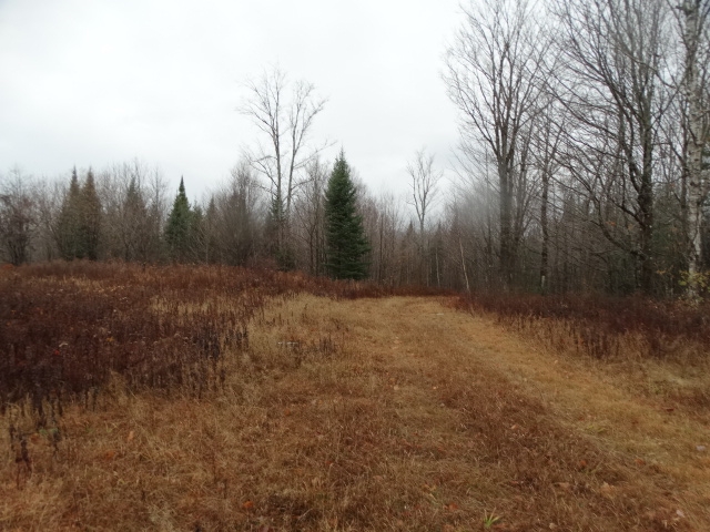 823 Baird Road Newark, VT 05871 - Photo 5 of 17 Gallery Image 5