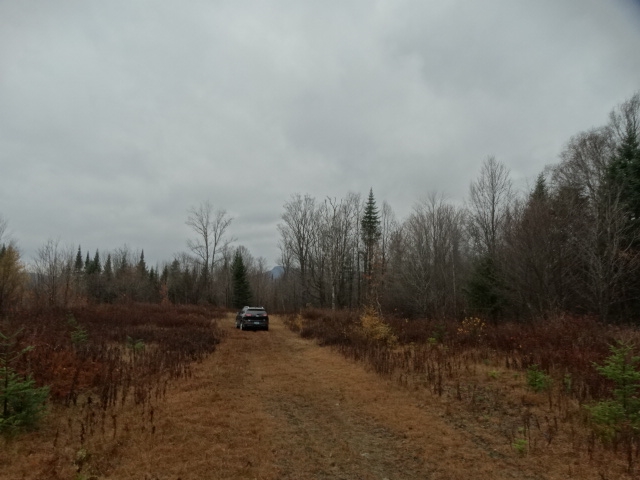 823 Baird Road Newark, VT 05871 - Photo 6 of 17 Gallery Image 6