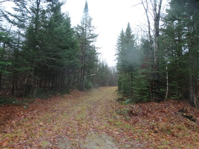 823 Baird Road Newark, VT 05871 - Photo 8 of 17 Gallery Image 8