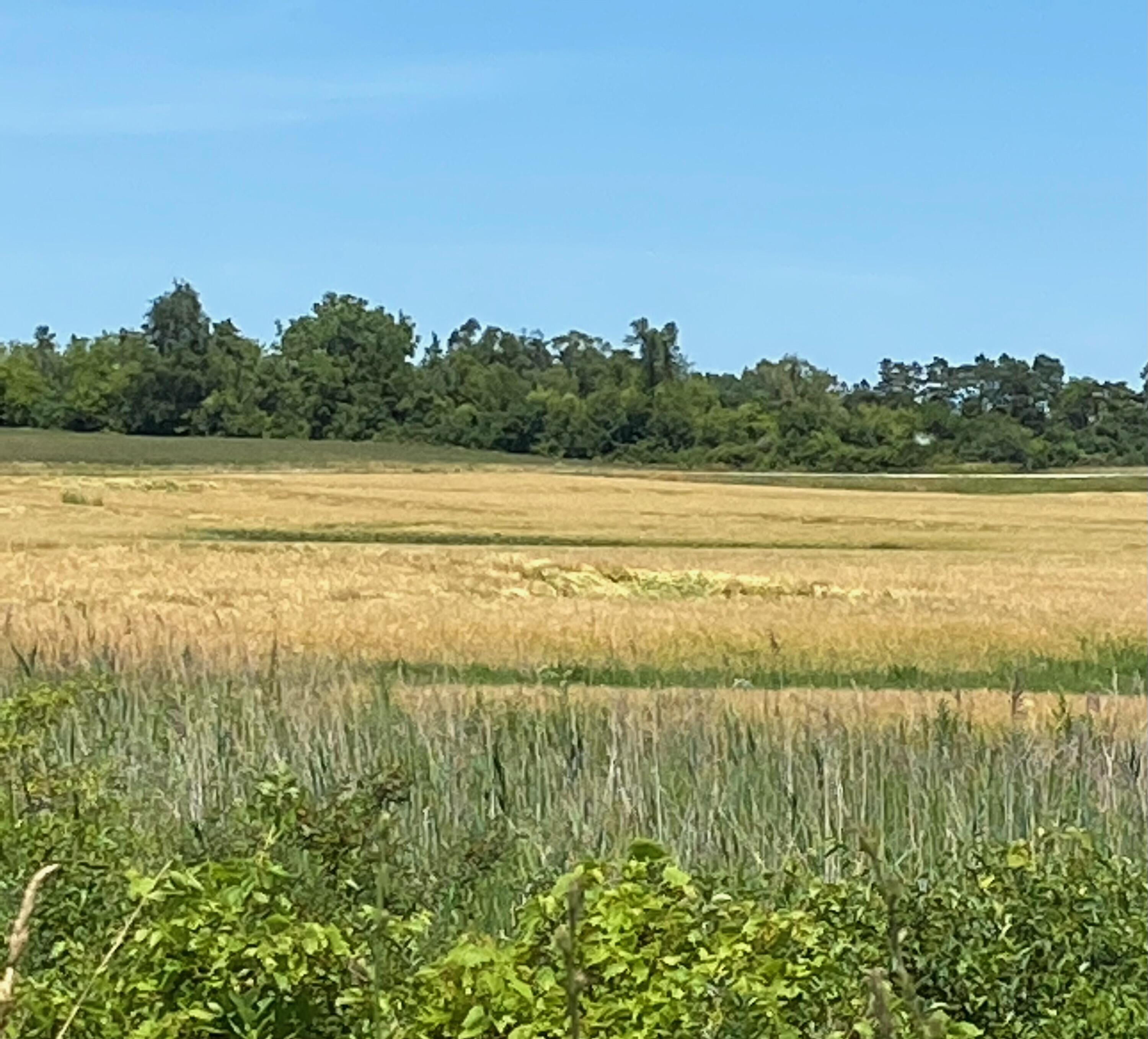 Trentadue farm picture