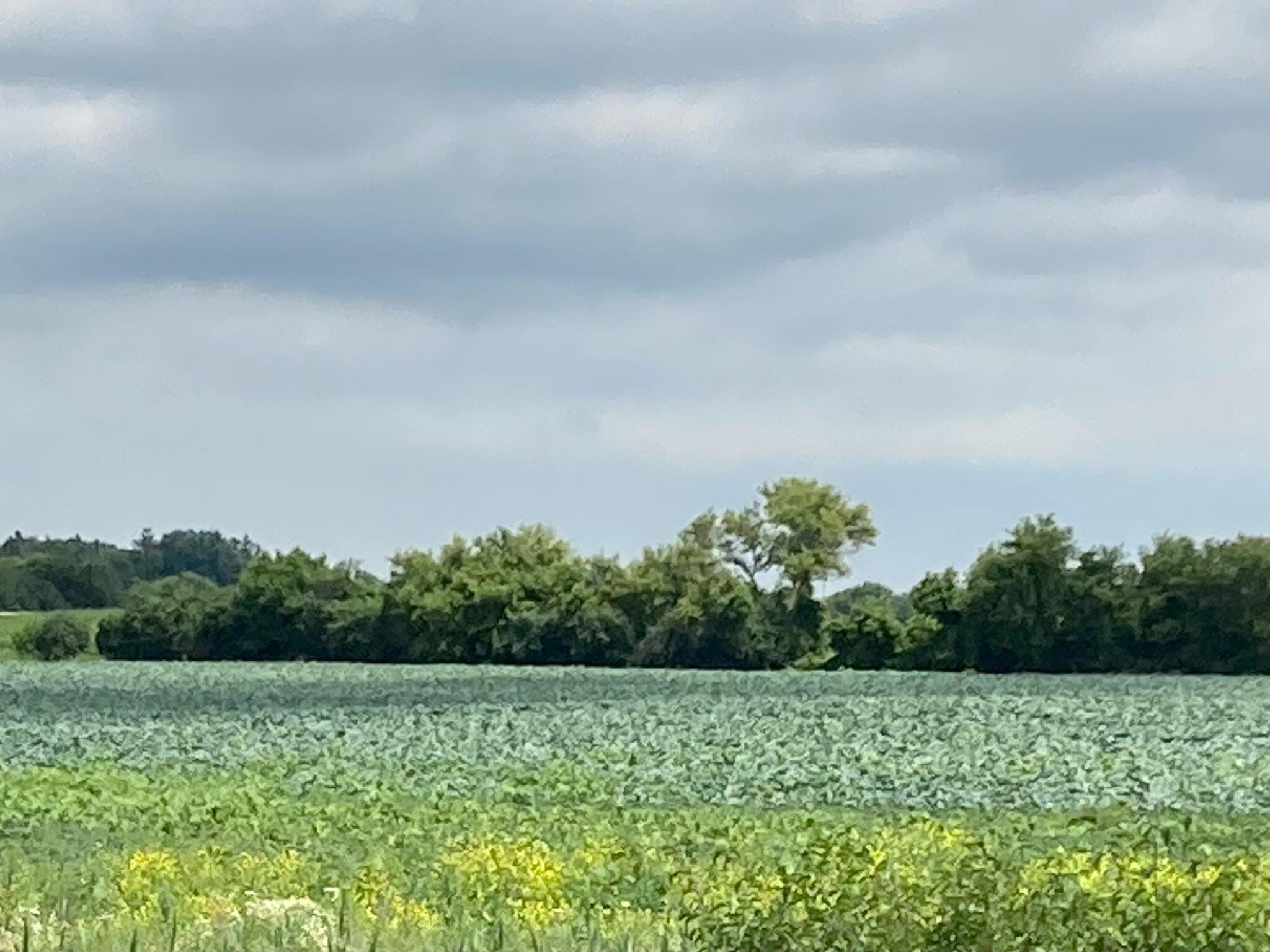 41 US Highway 41 Sturtevant, WI 53177 - Photo 2 of 2 555