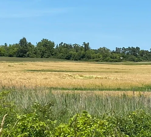 $1,700,000 | 41 US Highway 41, Sturtevant, WI 53177