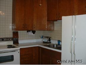 2128 East Eleanor Avenue Springfield, IL 62702 - Photo 3 of 9 Gallery Image 3