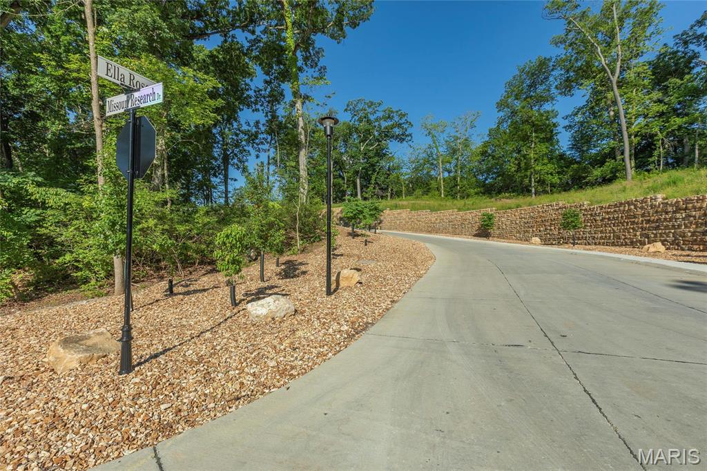 202 Ella Rose St. Charles, MO 63304 - Photo 12 of 17