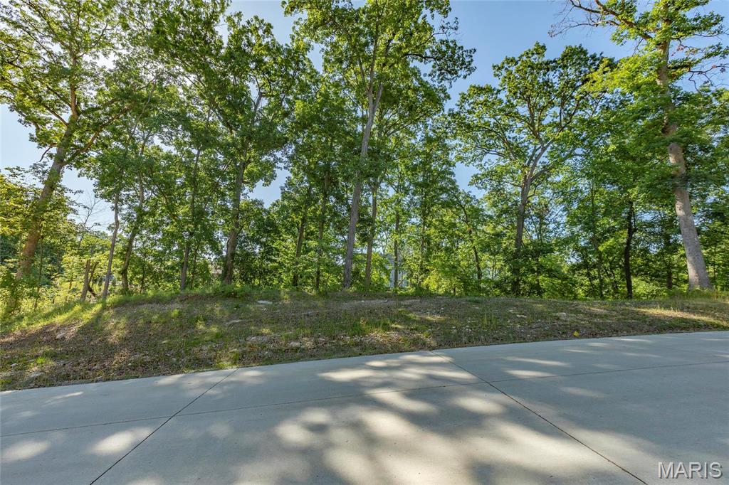 202 Ella Rose St. Charles, MO 63304 - Photo 13 of 17