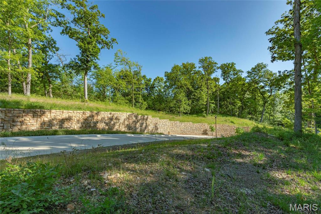 202 Ella Rose St. Charles, MO 63304 - Photo 15 of 17