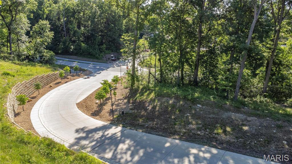 202 Ella Rose St. Charles, MO 63304 - Photo 16 of 17