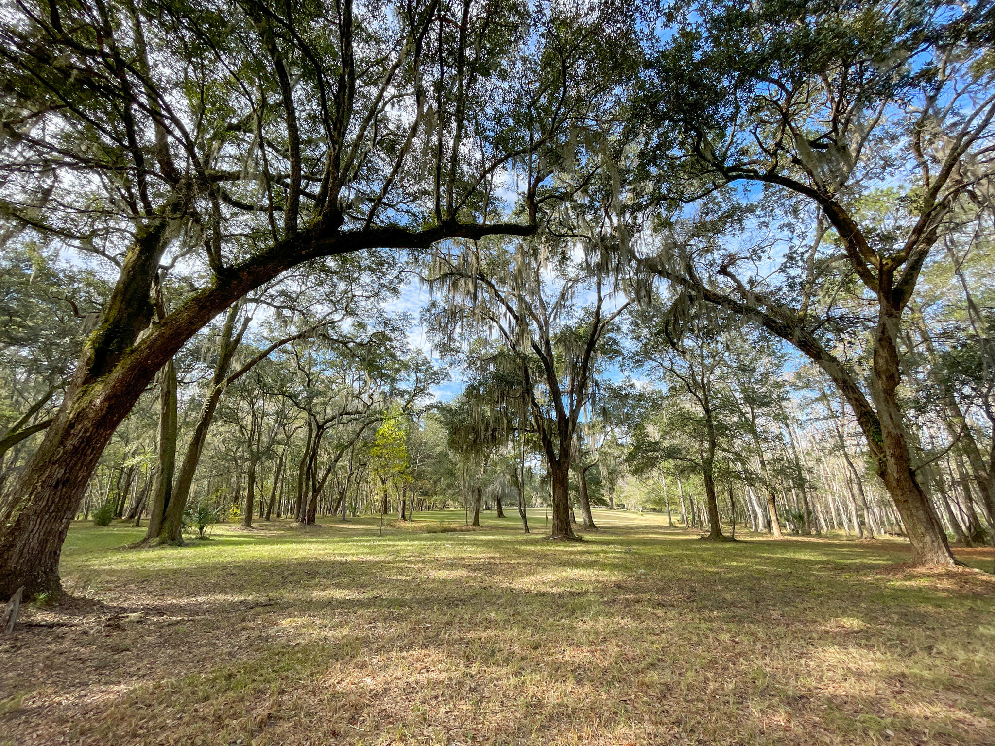 1700 Liberia Road Wadmalaw Island, SC 29487 - Photo 1 of 8 DJI_20231127_133226_991-2
