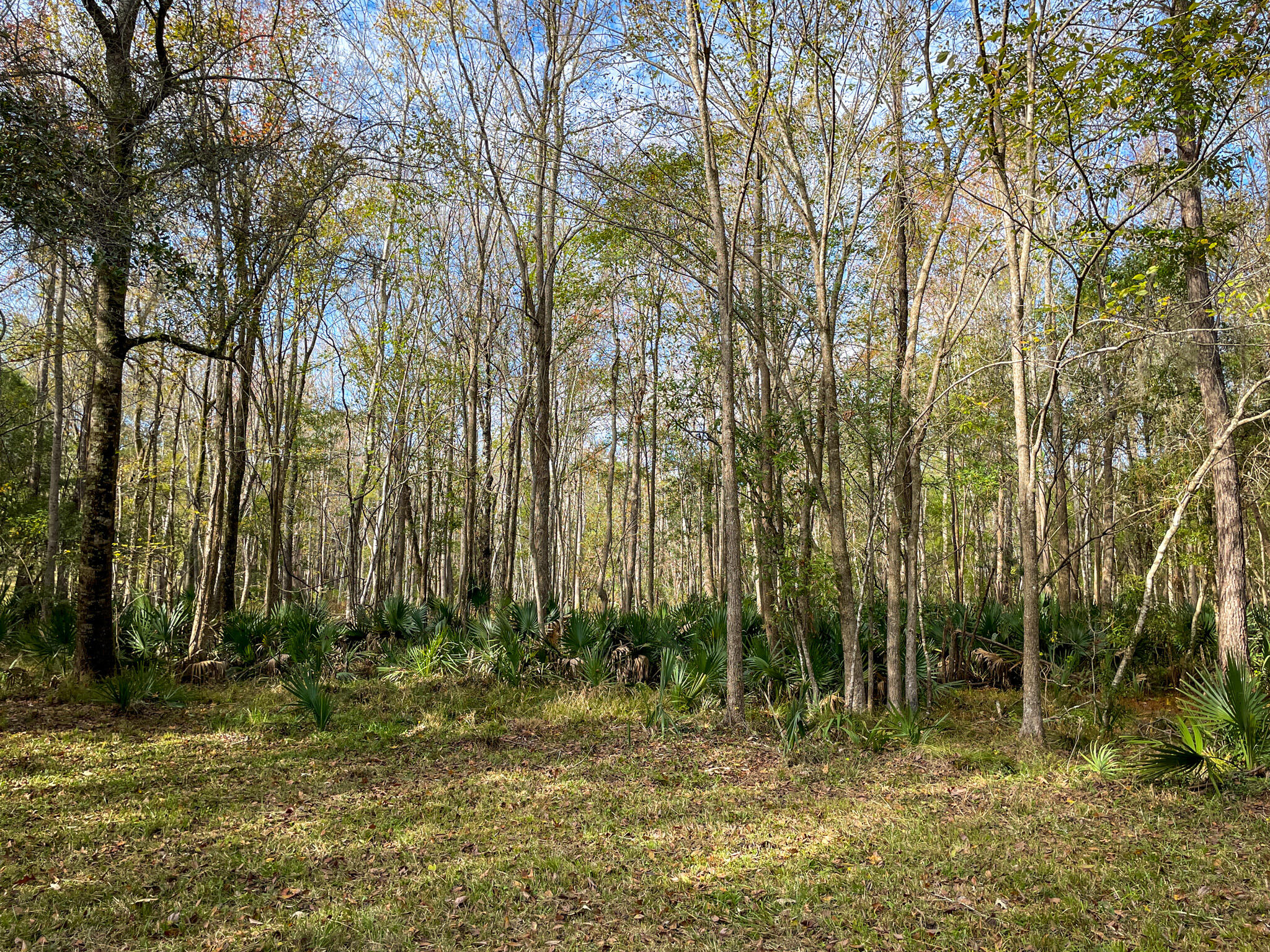 1700 Liberia Road Wadmalaw Island, SC 29487 - Photo 3 of 8 DJI_20231127_133342_629-2