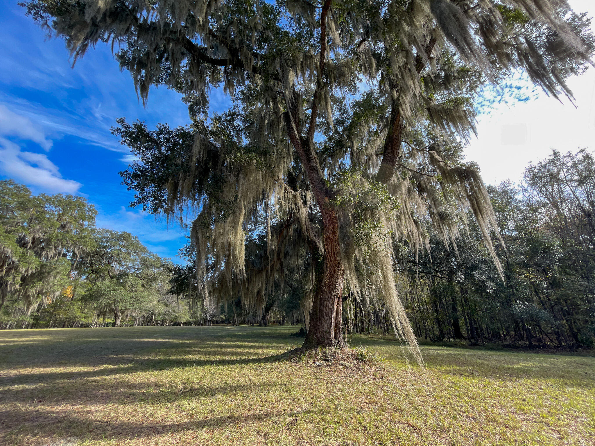 1700 Liberia Road Wadmalaw Island, SC 29487 - Photo 5 of 8 DJI_20231127_135401_726-2
