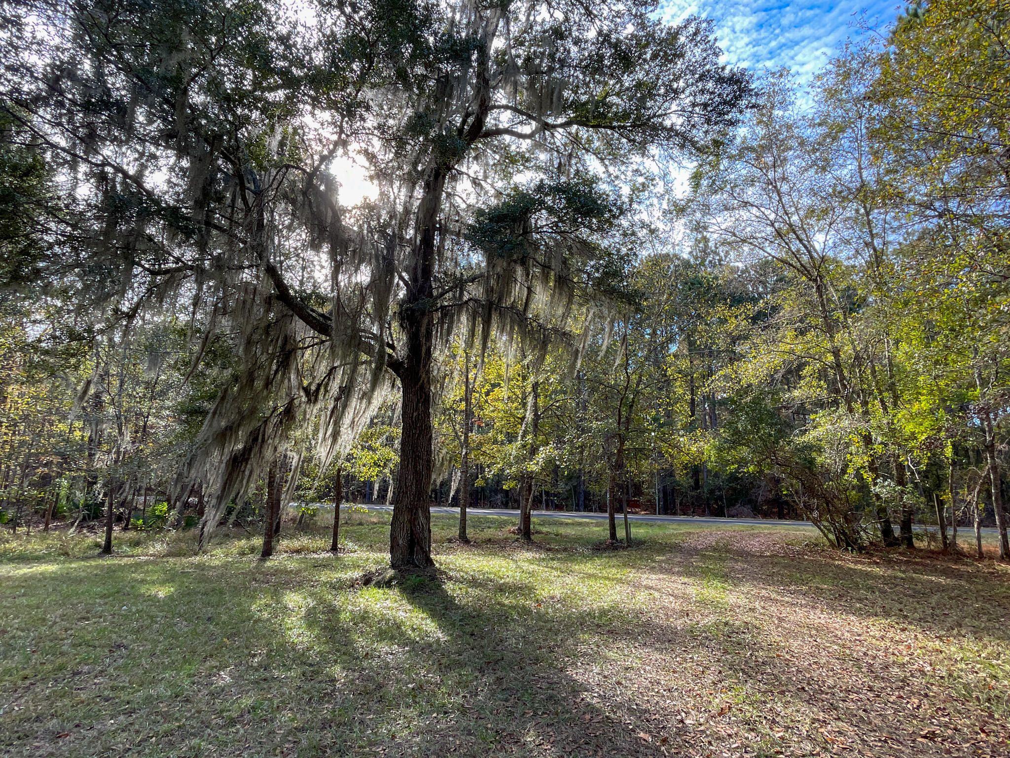 1700 Liberia Road Wadmalaw Island, SC 29487 - Photo 6 of 8 DJI_20231127_135425_551-2