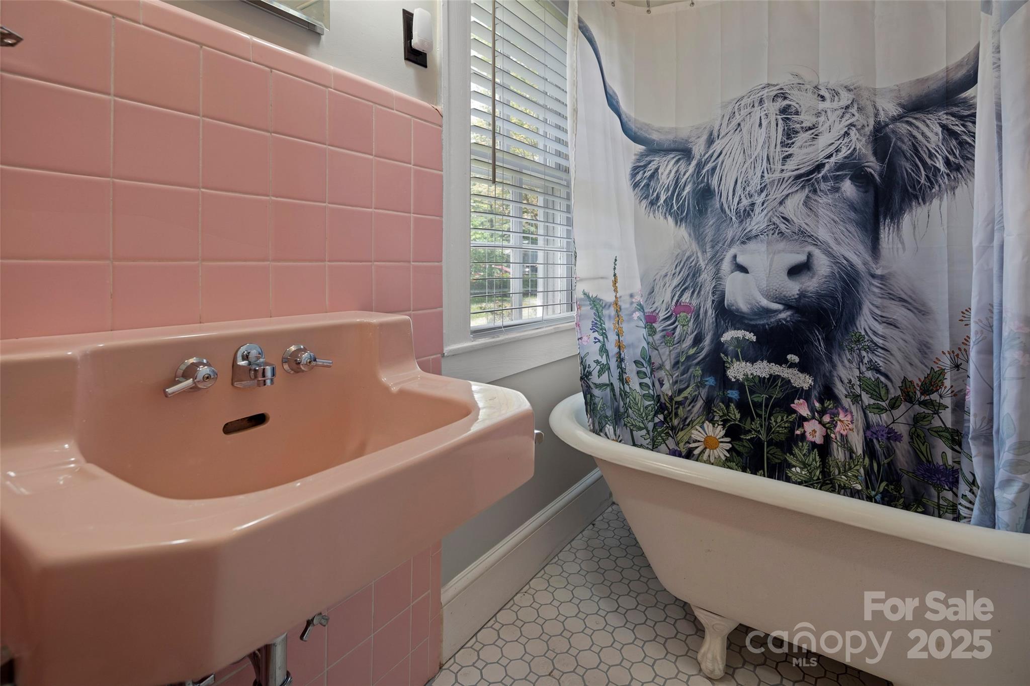139 Neely Road Brevard, NC 28712 - Photo 23 of 43 Gallery Image 23