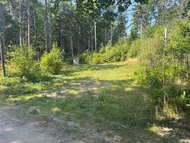 Lot 16 Rabbit Hollow Road Rangeley, ME 04970 - Photo 11 of 13 IMG_0085