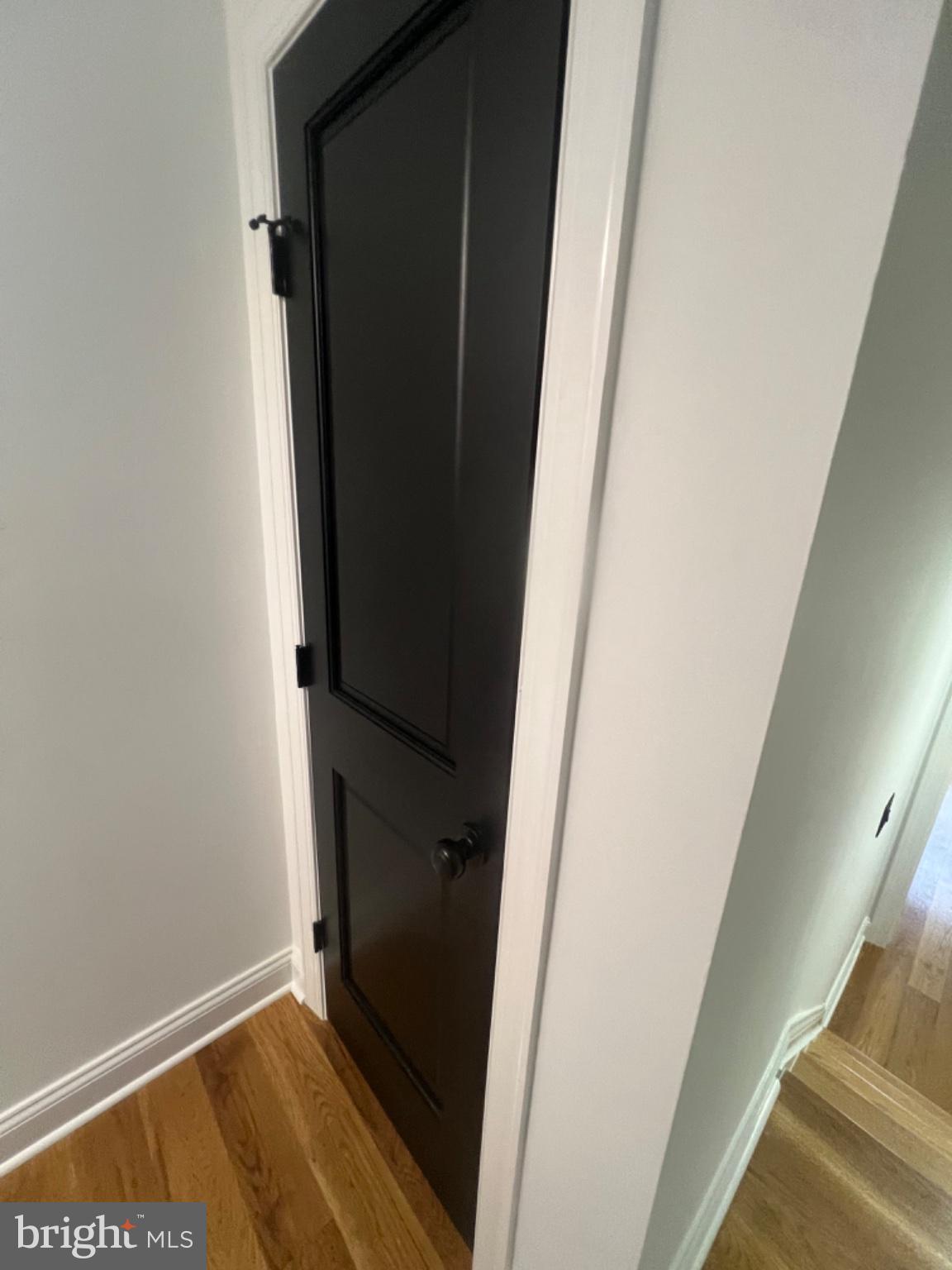 4400 Rendale Court Olney, MD 20832 - Photo 24 of 47 Sleek black door in modern hallway.