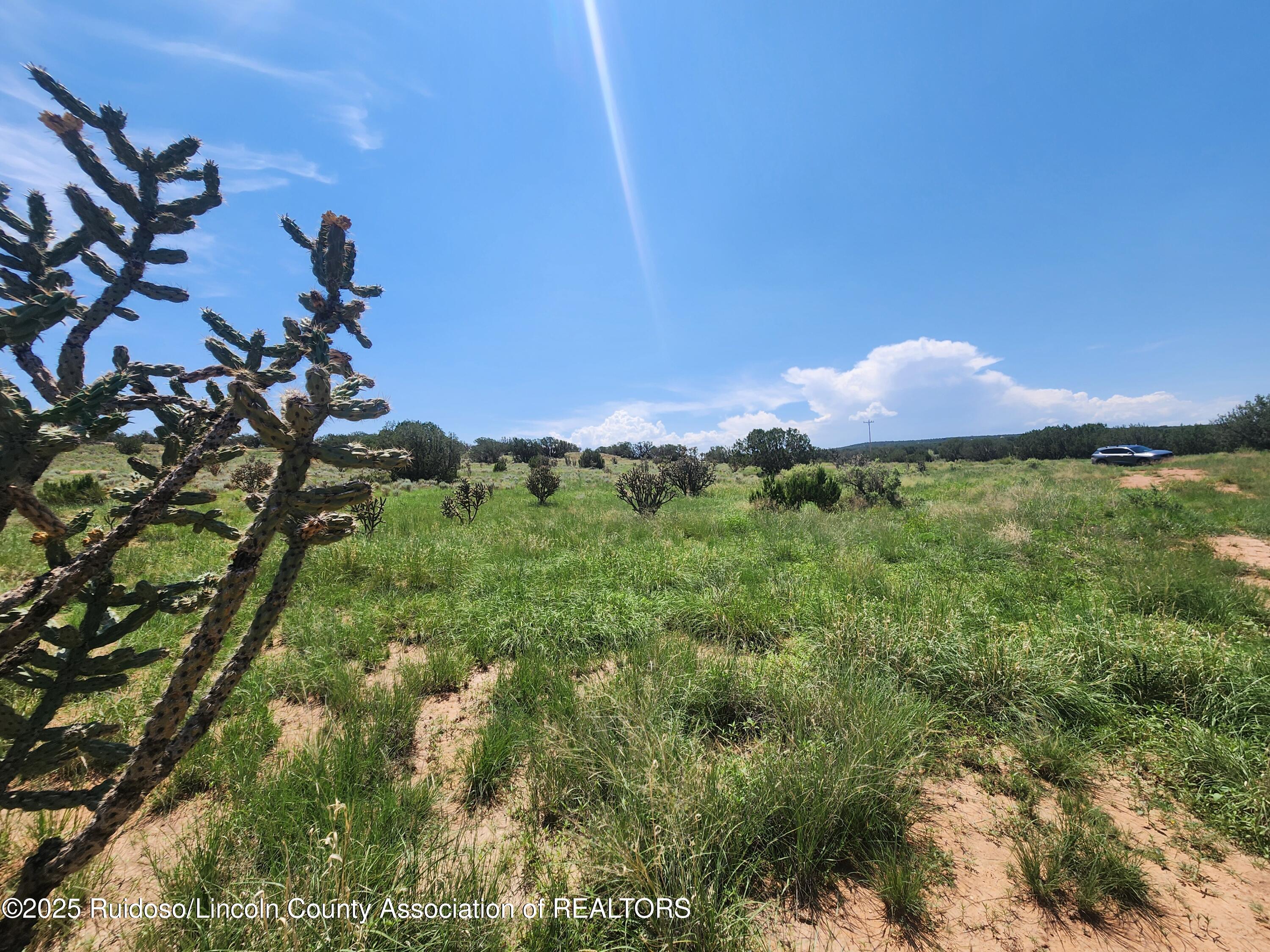 312 Windmill Road Carrizozo, NM 88301 - Photo 61 of 70 Gallery Image 61