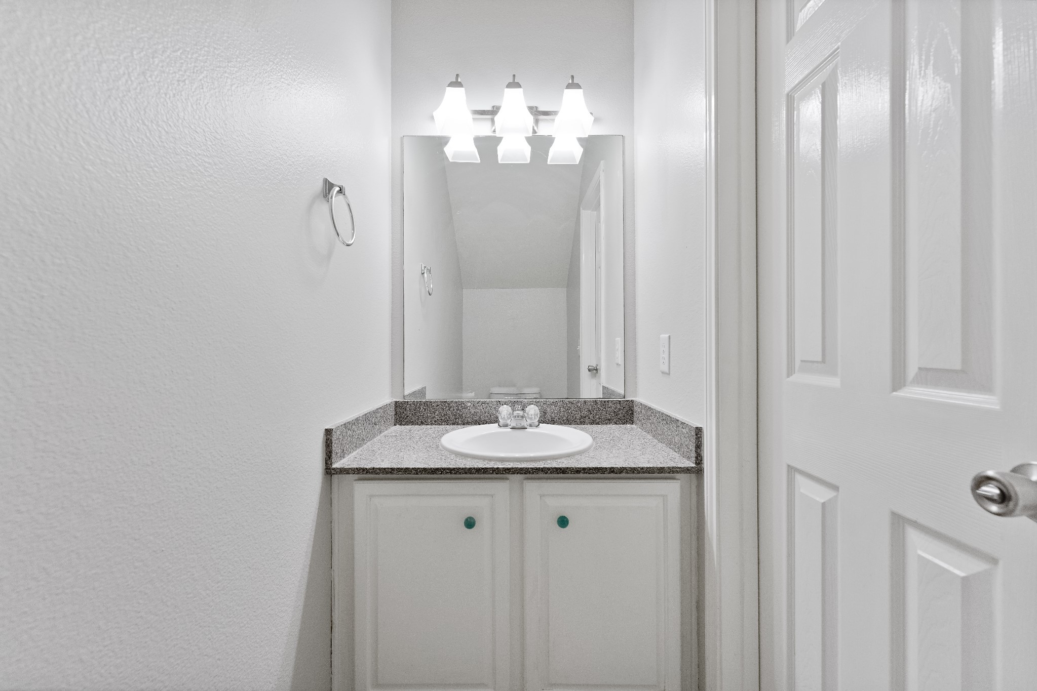 3603 Palomar Valley Drive Spring, TX 77386 - Photo 21 of 27