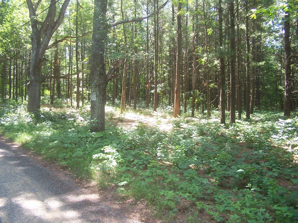7 Stoddard Road North Brookfield, MA 01535 - Photo 2 of 7 Gallery Image 2