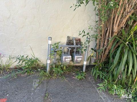 1547 4th Street, Unit A San Rafael, CA 94901 - Photo 8 of 64 a view of a yard with plants and trees