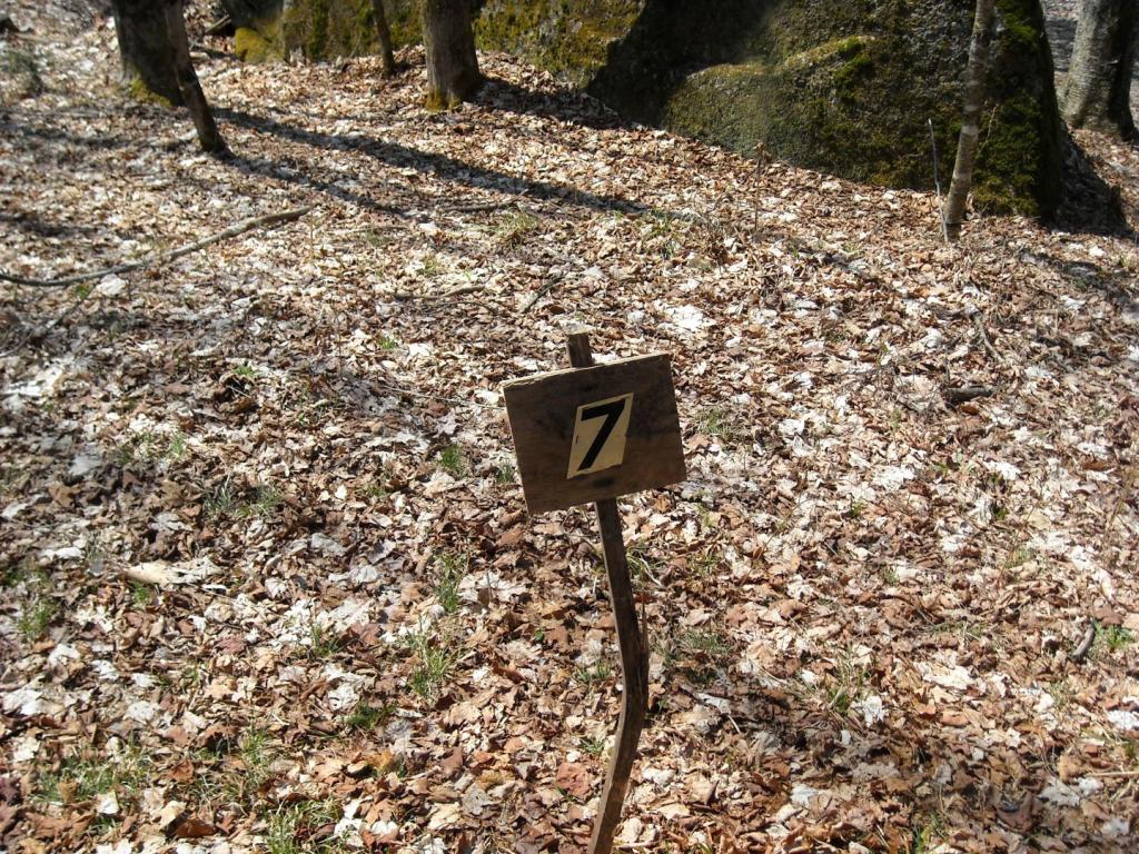 Lot 7 Big Rock Road Morgan, VT 05853 - Photo 1 of 14 Gallery Image 1