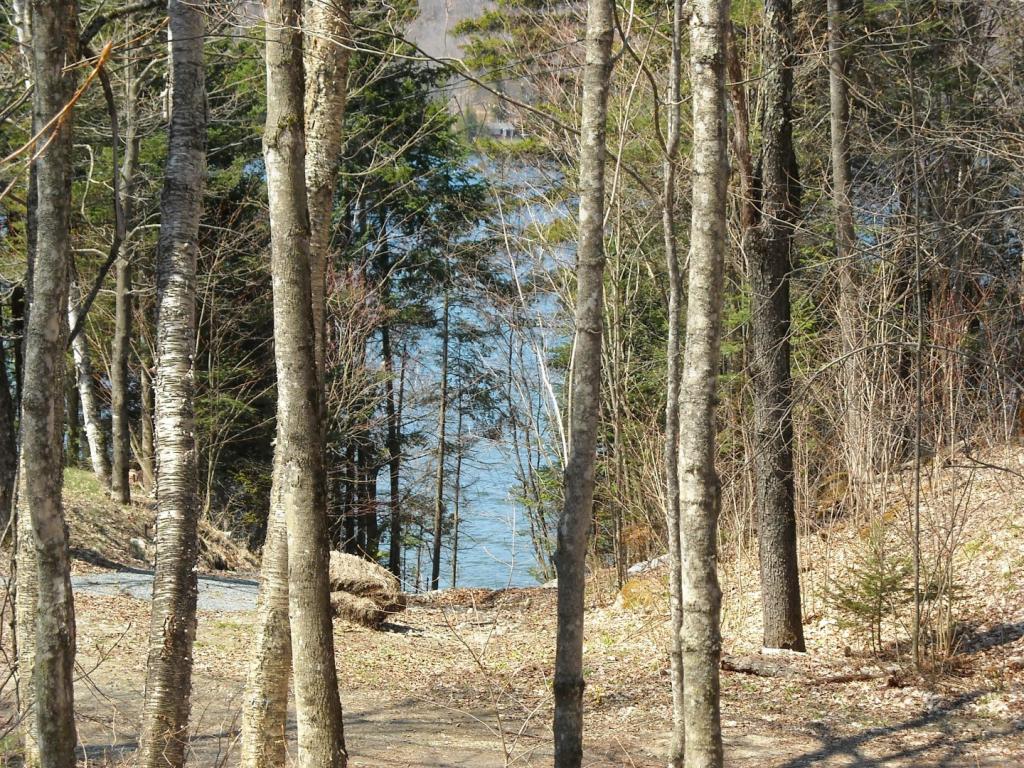 Lot 7 Big Rock Road Morgan, VT 05853 - Photo 2 of 14 Gallery Image 2